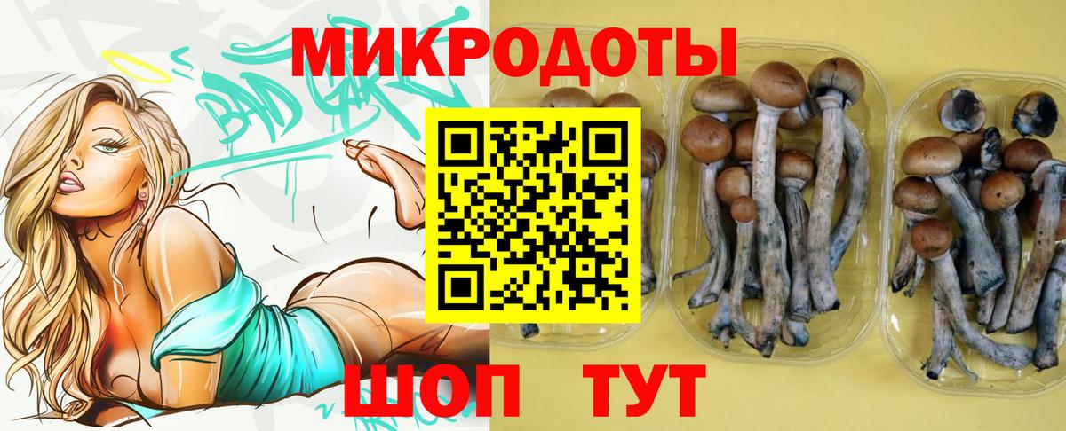 Галлюциногенные грибы мухоморы Лянтор